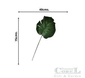 Hoja Philo 70cm