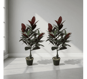 Planta Artificial Tipo Gomero Ficus Con Macetero 80cm
