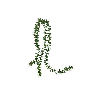 Suculenta Rosario 48cm Artificial | Estilo Natural para Interiores y Vitrinas