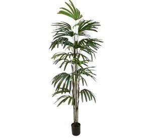 Palmera Raphis 150cm Artificial | Estilo Natural para Interiores y Vitrinas