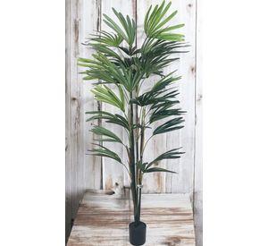 Palmera Raphis 150cm Artificial | Estilo Natural para Interiores y Vitrinas