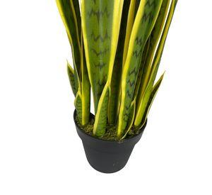 Planta Sansevieria Verde - Amarilla 90cm