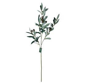 Rama De Olivo 74cm