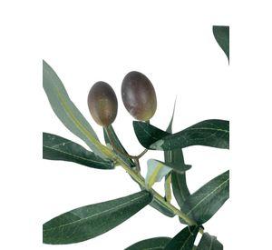 Rama De Olivo 74cm
