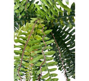 Planta Decorativa Helecho Boston 50Cm