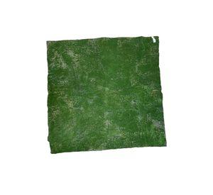 Panel De Musgo 100cm X 100cm