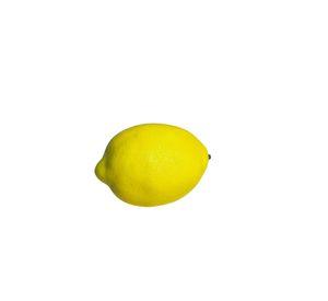Limon Artificial Grande Artificial | Estilo Natural para Interiores y Vitrinas