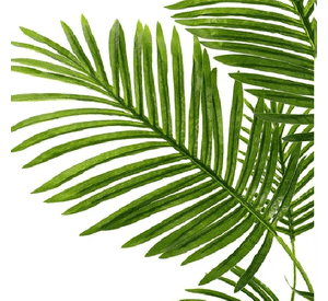Planta Artificial Enredadera Palmera 11m Decoración Hogar