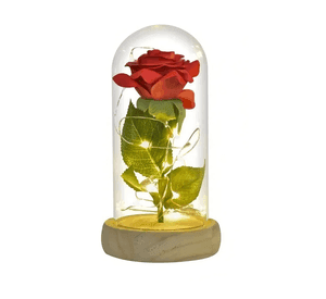 Rosa eterna preservada led san valentín rojo