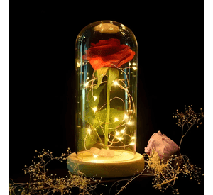 Rosa eterna preservada led san valentín rojo