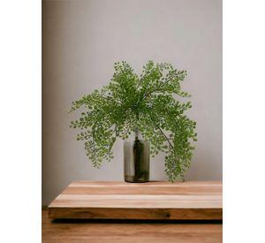 Planta Decorativa Helecho Adriantum 36 Cm