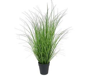 PLANTA DECORATIVA COREL PASTO CON CAIDA VERDE 90CM