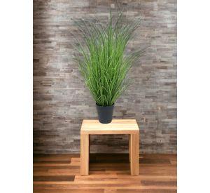 PLANTA DECORATIVA COREL PASTO CON CAIDA VERDE 90CM