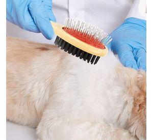 SET 3 CEPILLO PARA MASCOTA DOBLE CARA ERGONOMICO LAU