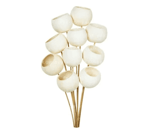 Bell cup flores ornamentales campana seca boho