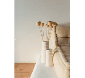 Bell cup flores ornamentales campana seca boho