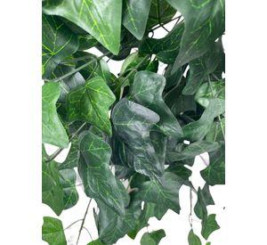 HIEDRA COLGANTE INGLESA DELUX CON FILTRO UV 58CM COREL