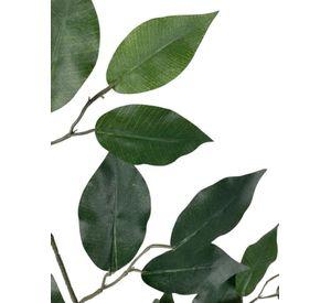 Rama Artificial De Ficus 50cm Artificial | Estilo Natural para Interiores y Vitrinas