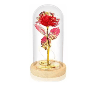 Rosa eterna roja cristal luz día madre
