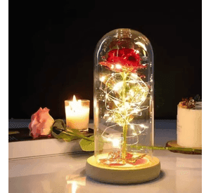 Rosa eterna roja cristal luz día madre