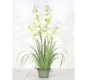 PLANTA DECORATIVA COREL PASTO CON FLOR CAMPANA 91CM