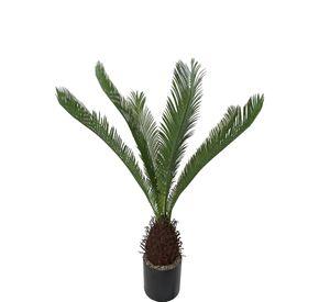 Planta Decorativa Palmera Cyca 110Cm