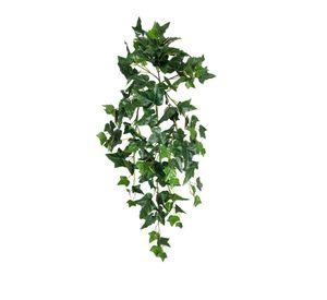 Hiedra Colgante Inglesa 89Cm