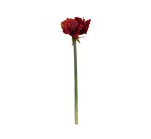 Amaryllis Roja 68cm