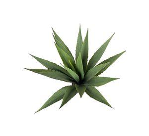 Planta Artificial Agave Acerrado 98cm