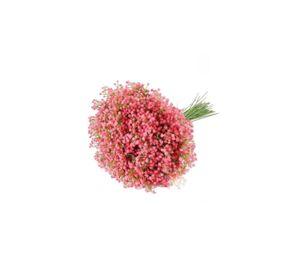 90 Flores Gypsophila para Arreglos Artificiales Flor Adornar