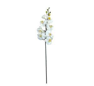 Rama Artificial Orquídea De 8 Flores 80cm Artificial | Estilo Natural para Interiores y Vitrinas