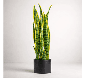 Planta Artificial Lengua De Suegra Con Macetero 90cm