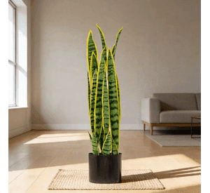 Planta Artificial Lengua De Suegra Con Macetero 90cm