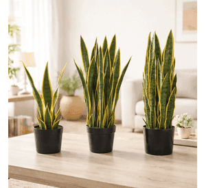 Planta Artificial Lengua De Suegra Con Macetero 90cm