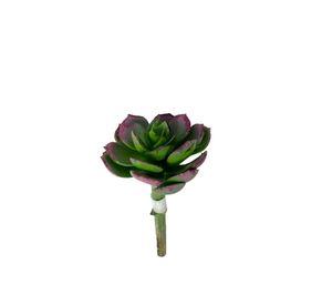 Suculenta Verde 12cm