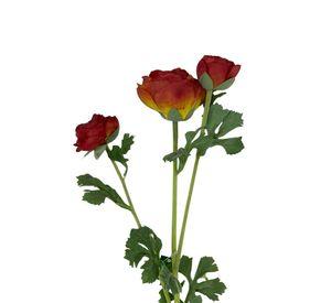 Ranúnculo Rojo 73cm Con Textura Realista