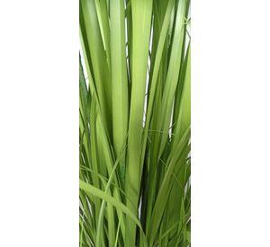 Pasto Crespo 91cm Artificial | Estilo Natural para Interiores y Vitrinas