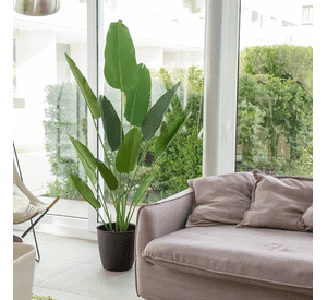 Planta ave del paraíso artificial 180 cm