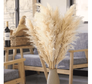 Ramo pampas secas 10 uds cola de zorro deco