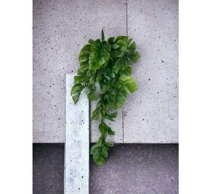 Hiedra Spathipylium 50cm Artificial | Estilo Natural para Interiores y Vitrinas