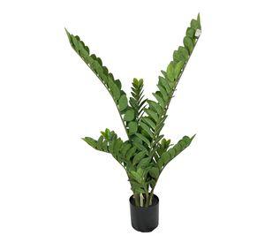 Planta Zamifolia 110cm / 11 Ramas