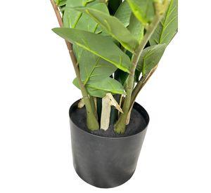Planta Zamifolia 110cm / 11 Ramas