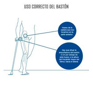 Bastón Ortopedico Altura Regulable Un Apoyo Mango Recto