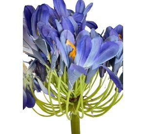 Agapanto Azul 89cm