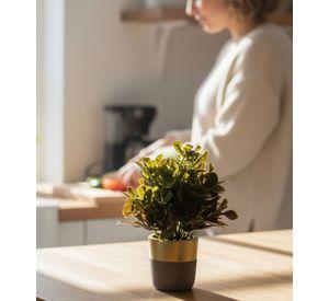 Set 2 Plantas Artificiales Decorativas Macetero Bicolor Jhn