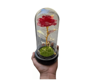 Rosa eterna roja lámpara adorno bella y bestia