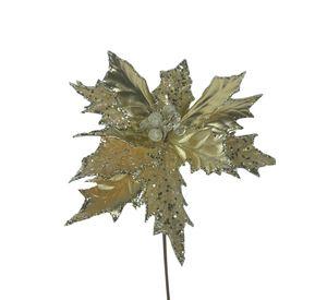Poinsettia Champagne 30 cm