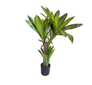 Flor Planta Artificial Dracaena Arbol Decoracion Real Lau