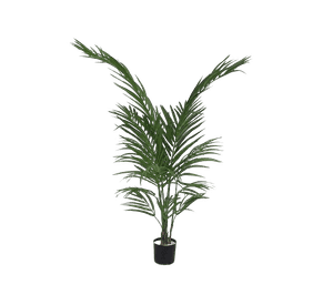 Planta Decorativa Corel Palmera Areca 120cm