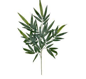 Rama Bambu 50cm